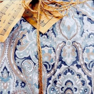 Pottery Barn Mackenna Paisley Full/Queen Duvet with 2 Euro pillow shams. GUC.